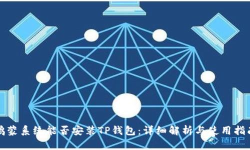 鸿蒙系统能否安装TP钱包：详细解析与使用指南